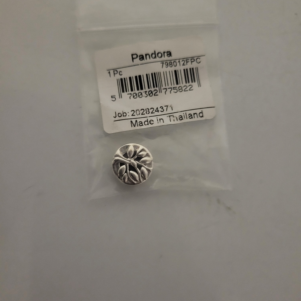 Pandora Charm